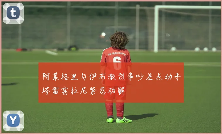 阿莱格里与伊布激烈争吵差点动手塔雷富拉尼紧急劝解