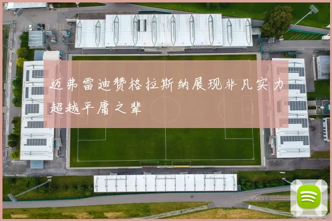 迈弗雷迪赞格拉斯纳展现非凡实力超越平庸之辈